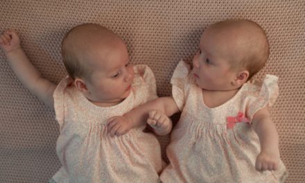The Twins – Questions and Answers