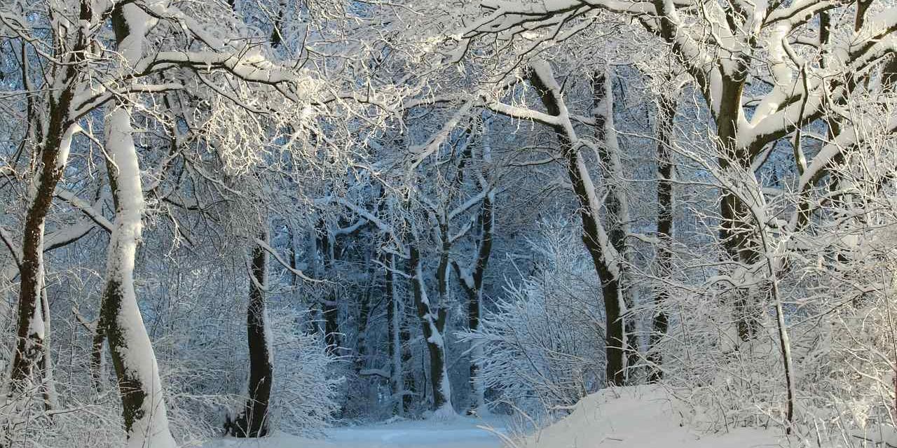 Appreciation of poem “Stopping by Woods on a Snowy Evening”