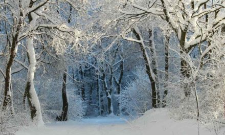 Appreciation of poem “Stopping by Woods on a Snowy Evening”